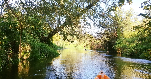 trasy spływów jeziorka