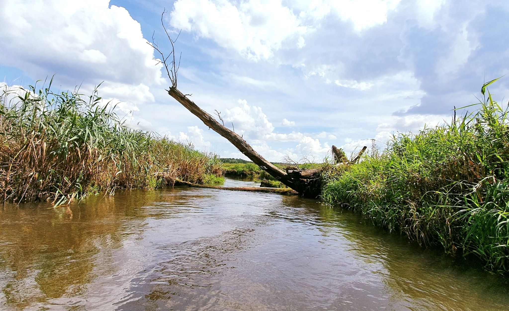 kajaki blisko warszawy