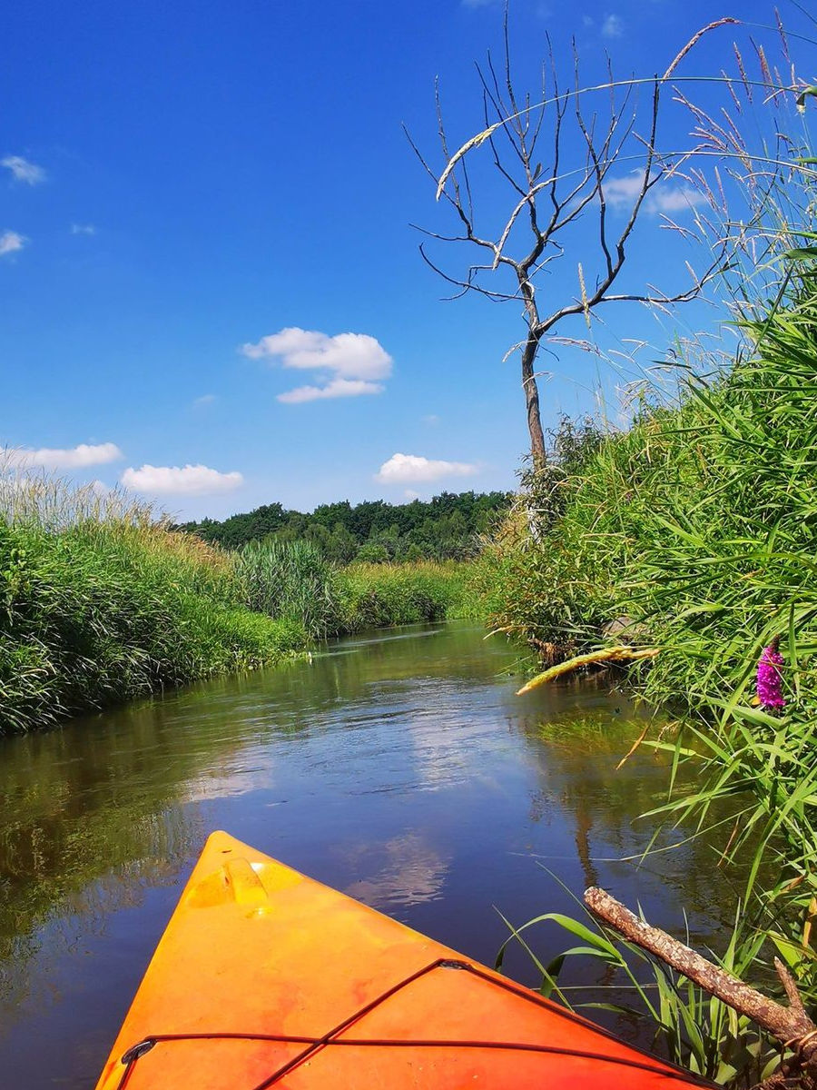 splywy kajakowe na łonie natury