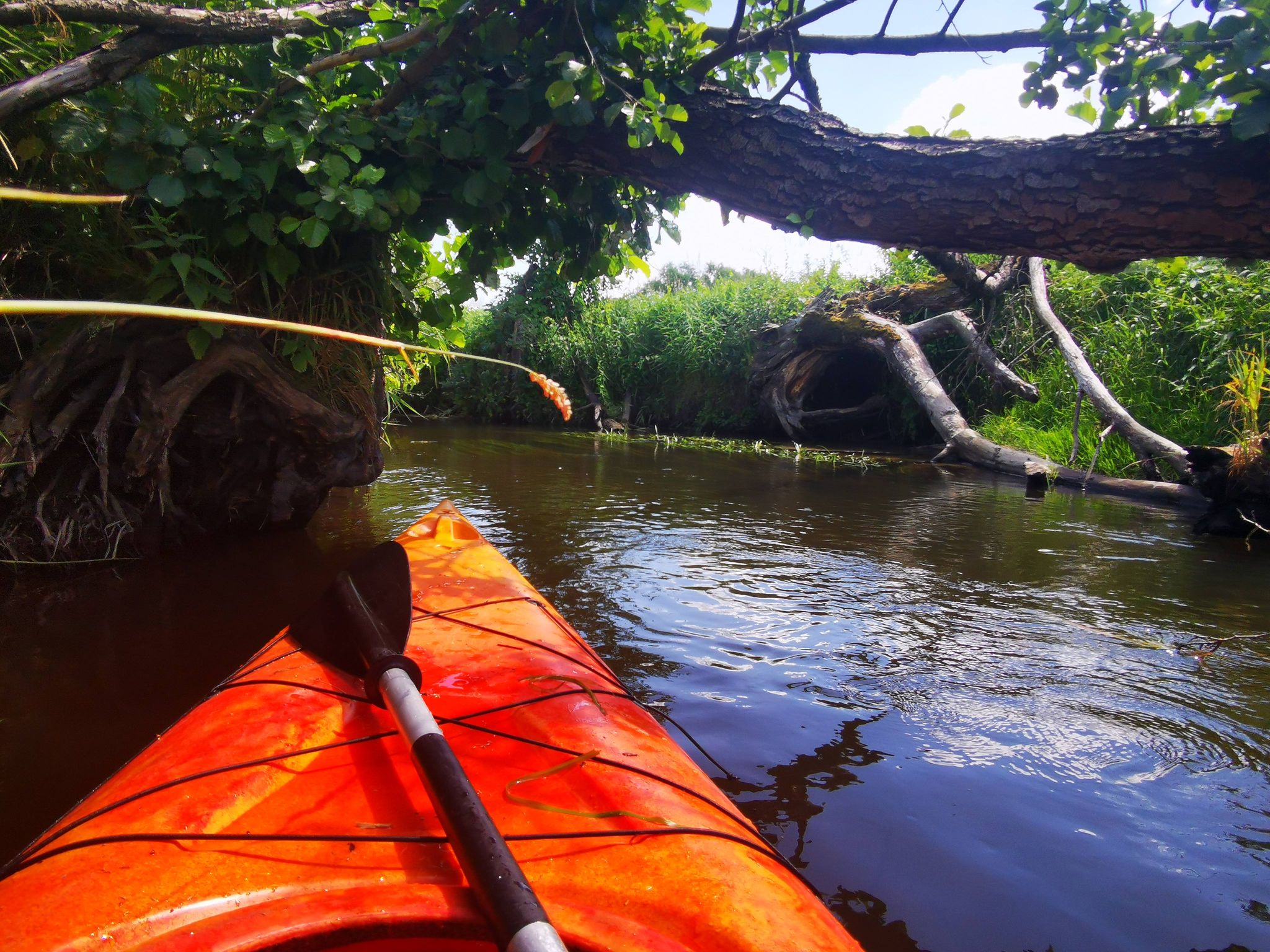 spływy kajakowe warszawa