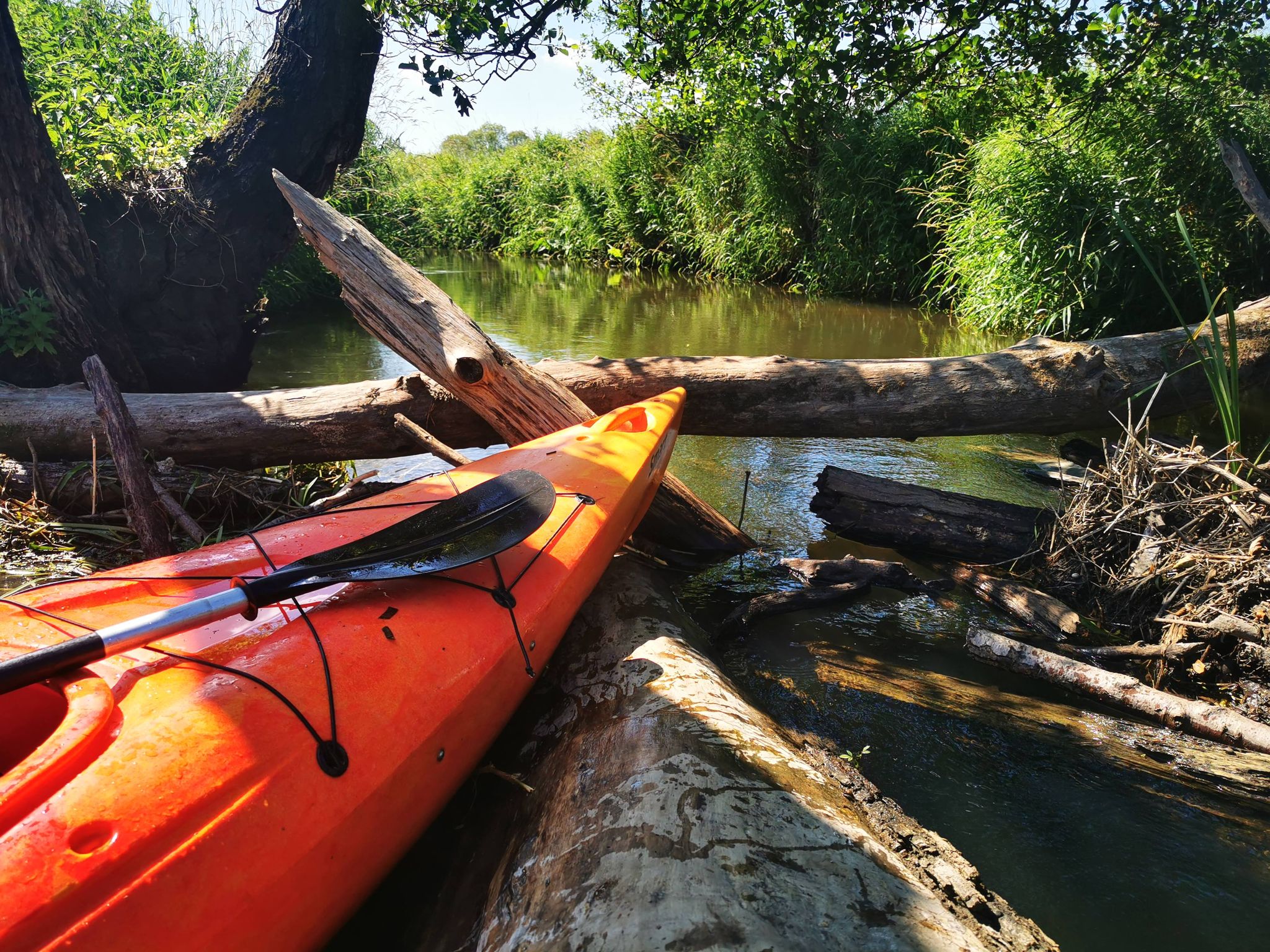 trudna trasa kajakowa